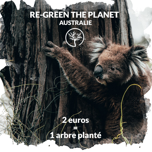 Don d'arbres en Australie Planter des arbres en Australie RE-GREEN THE PLANET