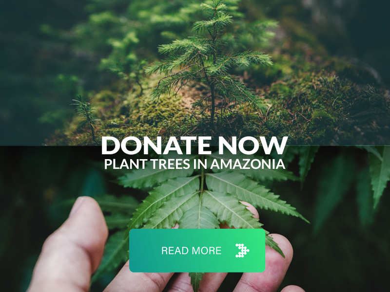 Donate plant trees