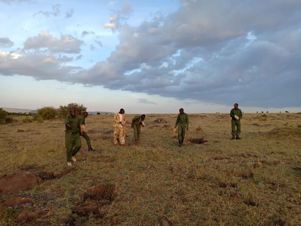 We offered seedballs to the rangers of Mara Elephant in Kenya